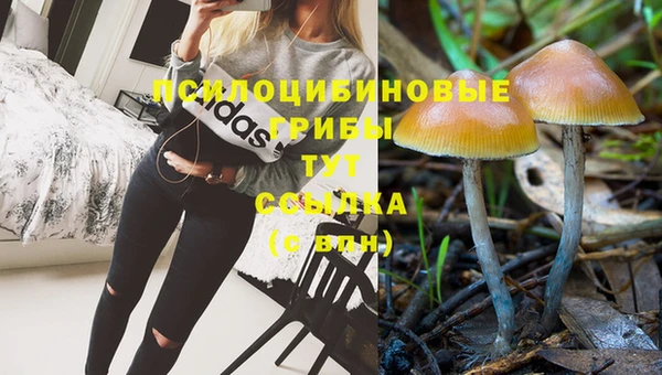шишки Аркадак