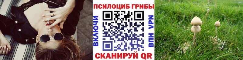 Галлюциногенные грибы мицелий  купить  цена  Губкинский 